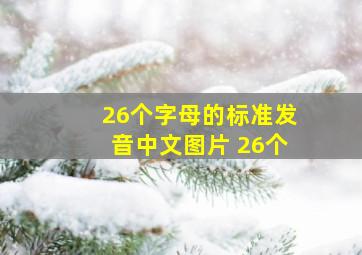 26个字母的标准发音中文图片 26个